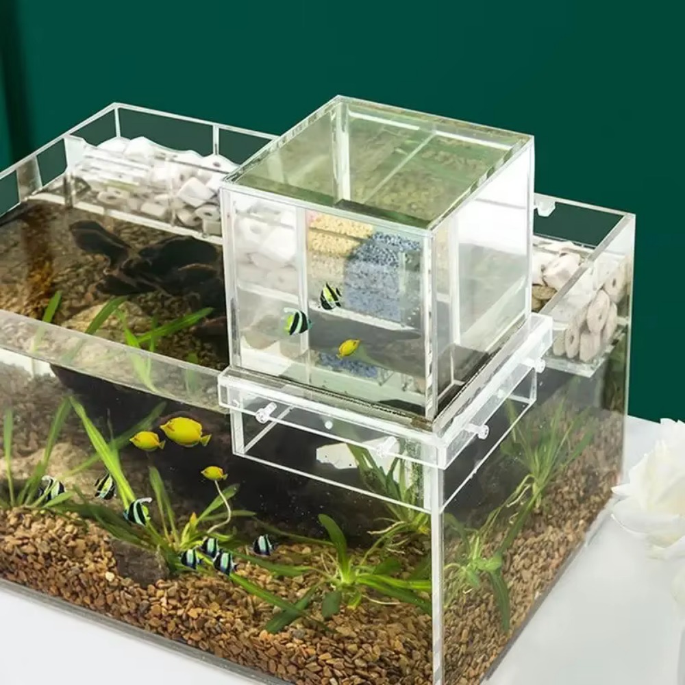 Aquarium Goldfish - Acquario a Pressione Negativa per Paesaggistica,