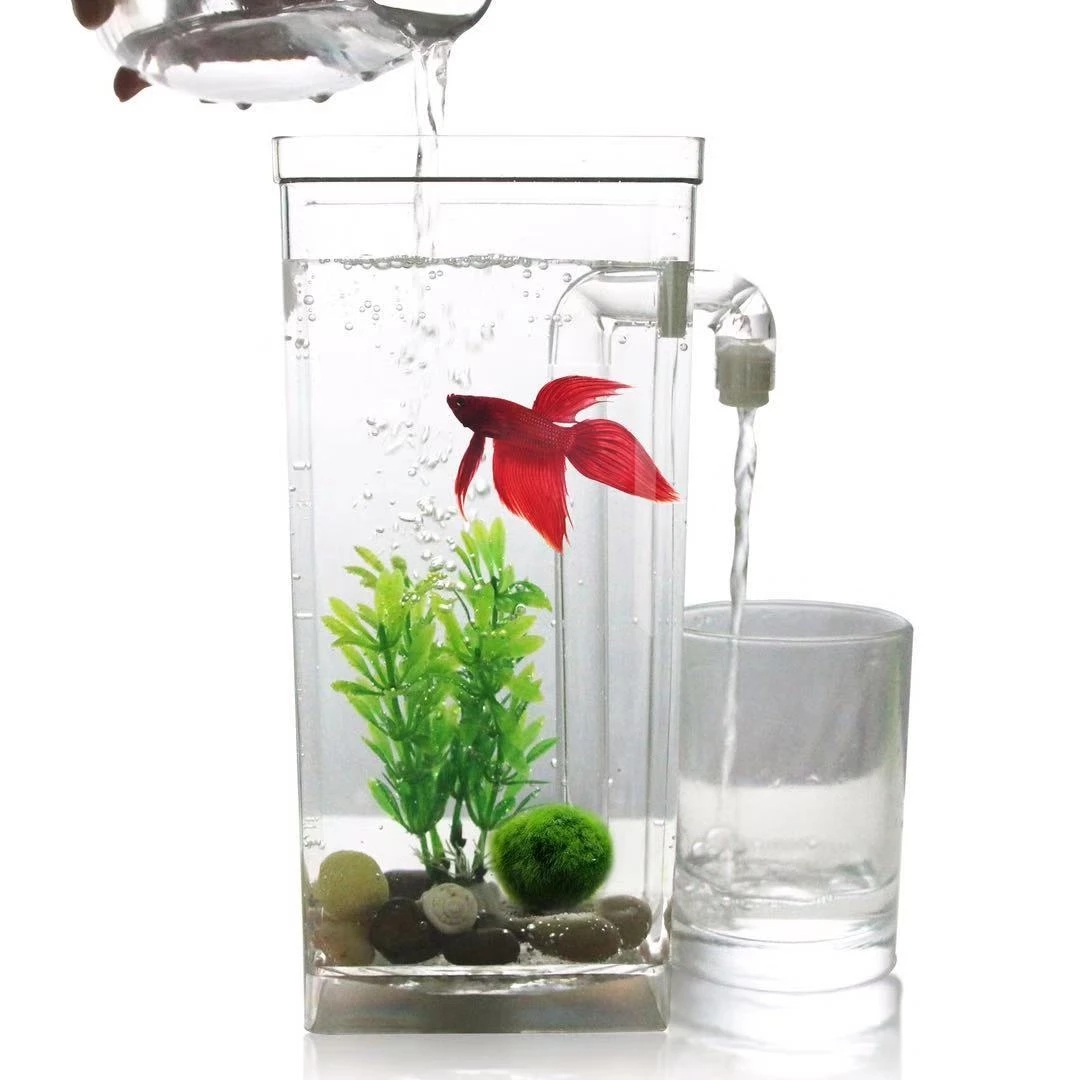 Aquarium Fish Goldfish - Serbatoio per pesci da tavolo con