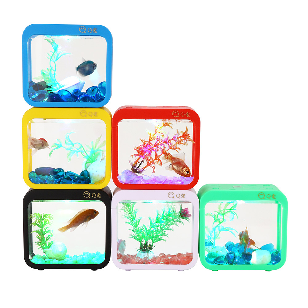 Scatola Betta creativa colorat - Aquarium Goldfish recensione e prezzo