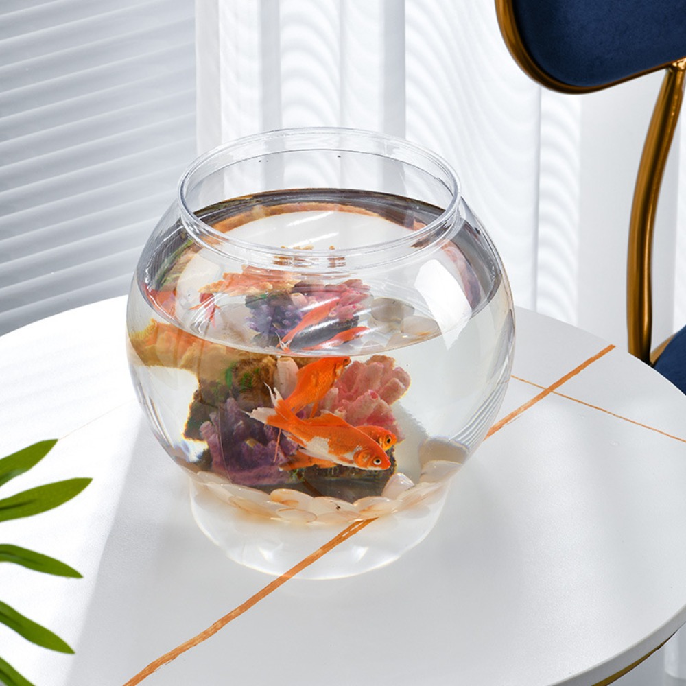Acquario da tavolo rotondo tra - Aquarium Goldfish recensione e prezzo
