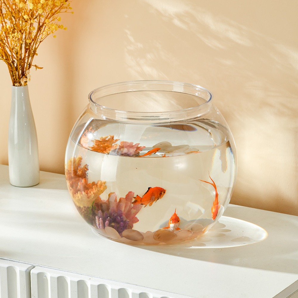 Acquario da tavolo rotondo tra - Aquarium Goldfish recensione e prezzo