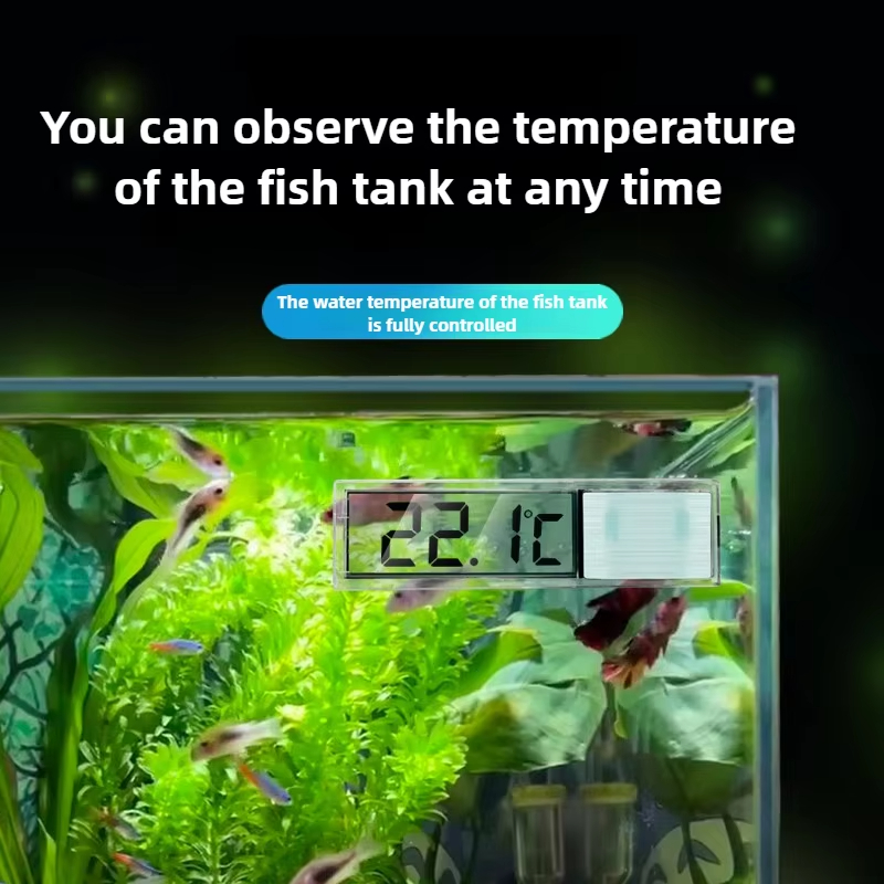Termometro Elettronico Digital - Aquarium Fish Goldfish recensione e prezzo