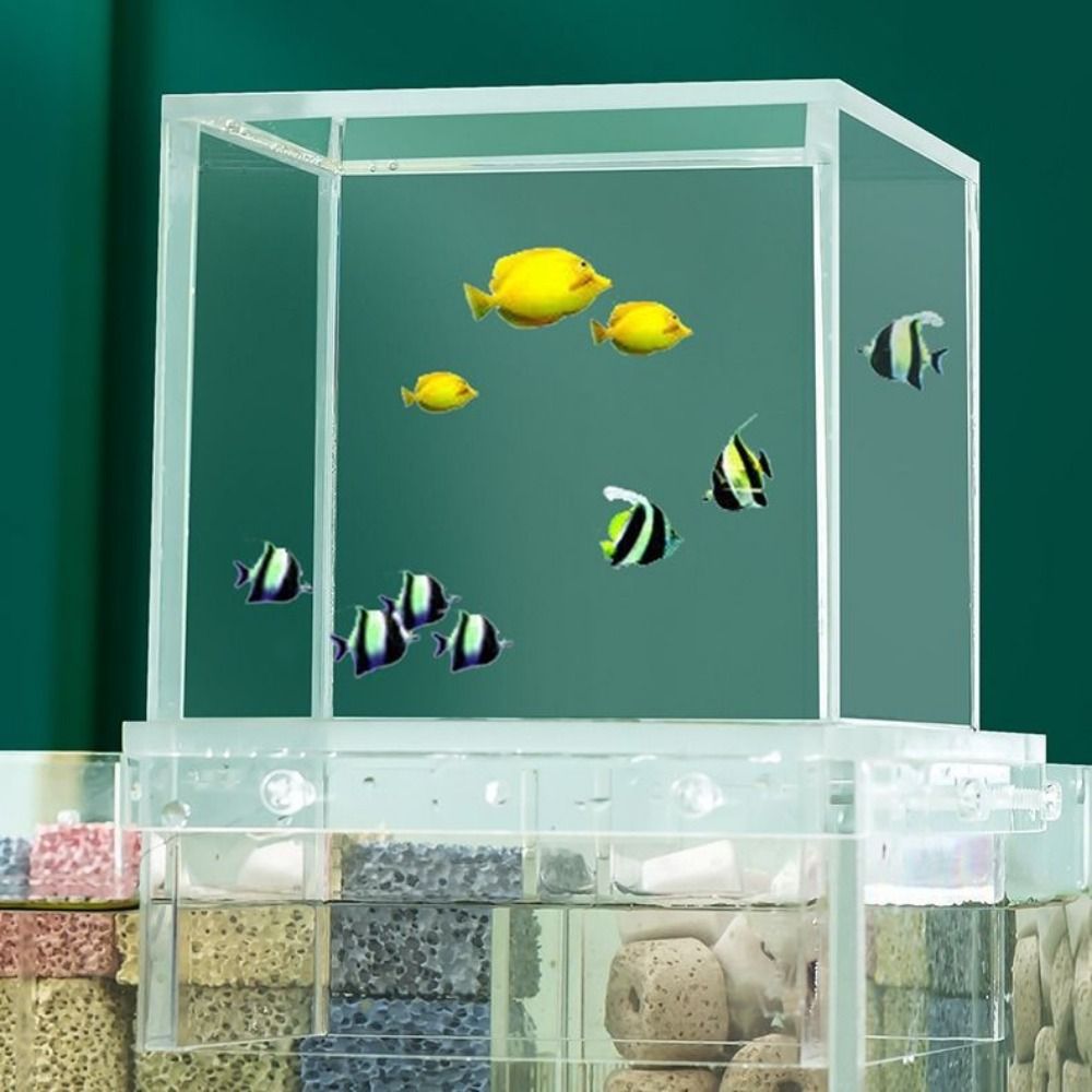Acquario a Pressione Negativa  - Aquarium Goldfish recensione e prezzo