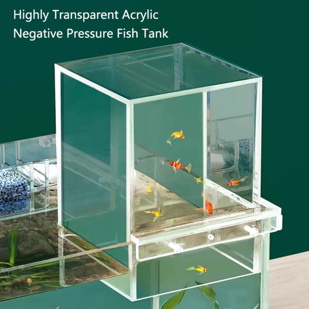 Acquario a Pressione Negativa  - Aquarium Goldfish recensione e prezzo