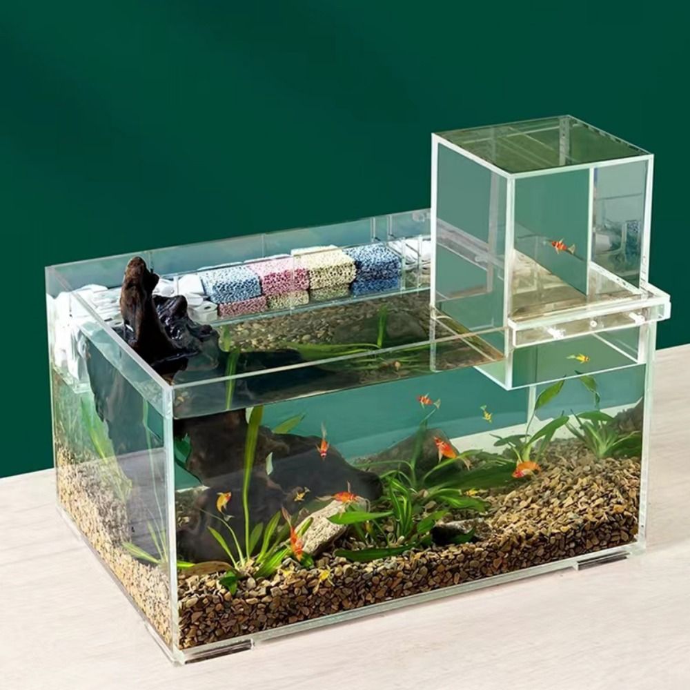 Acquario a Pressione Negativa  - Aquarium Goldfish recensione e prezzo