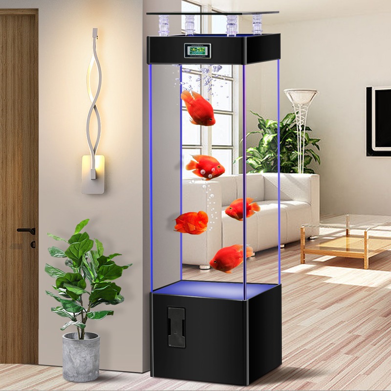 Acquario in vetro ultra-traspa - Aquarium Fish Goldfish recensione e prezzo