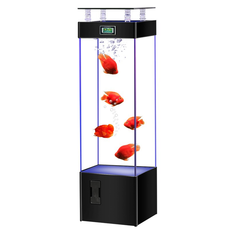Acquario in vetro ultra-traspa - Aquarium Fish Goldfish recensione e prezzo