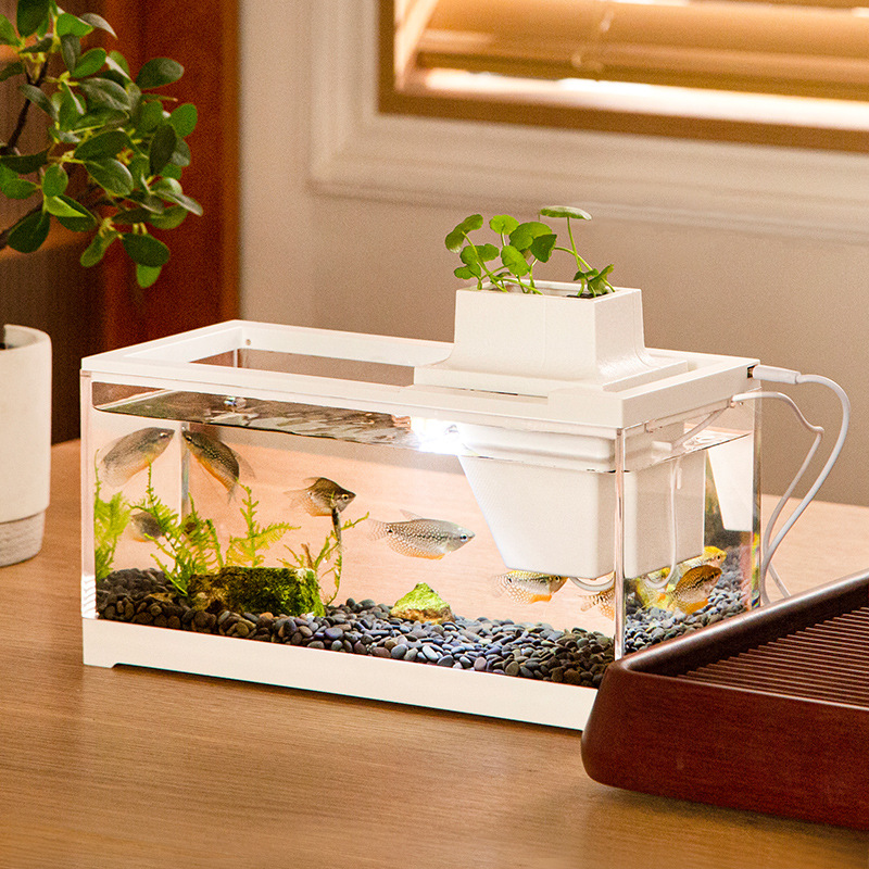 Kit Acquario con Pompa d'Acqua - Aquarium Fish Goldfish recensione e prezzo