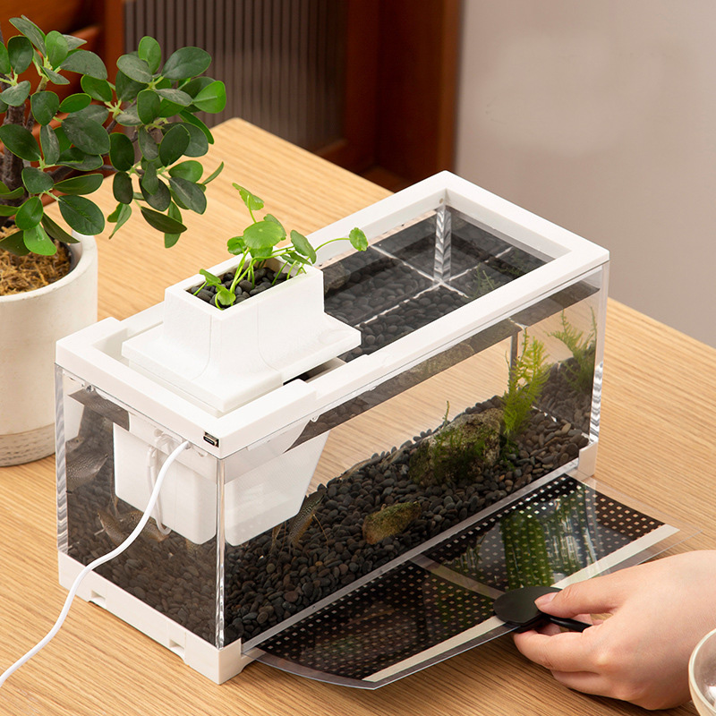 Kit Acquario con Pompa d'Acqua - Aquarium Fish Goldfish recensione e prezzo