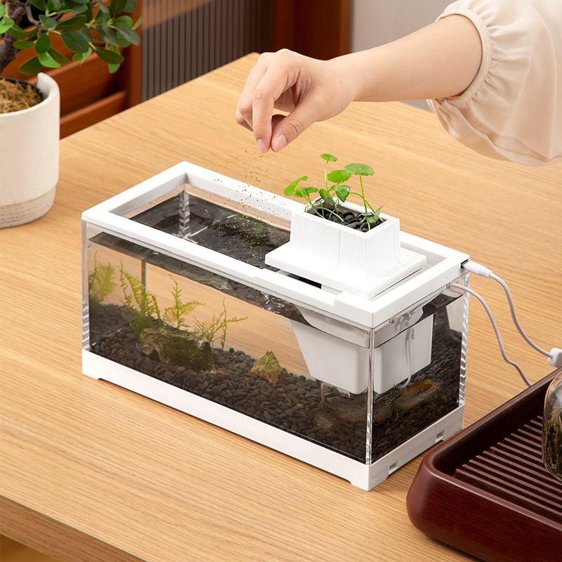 Kit Acquario con Pompa d'Acqua - Aquarium Fish Goldfish recensione e prezzo