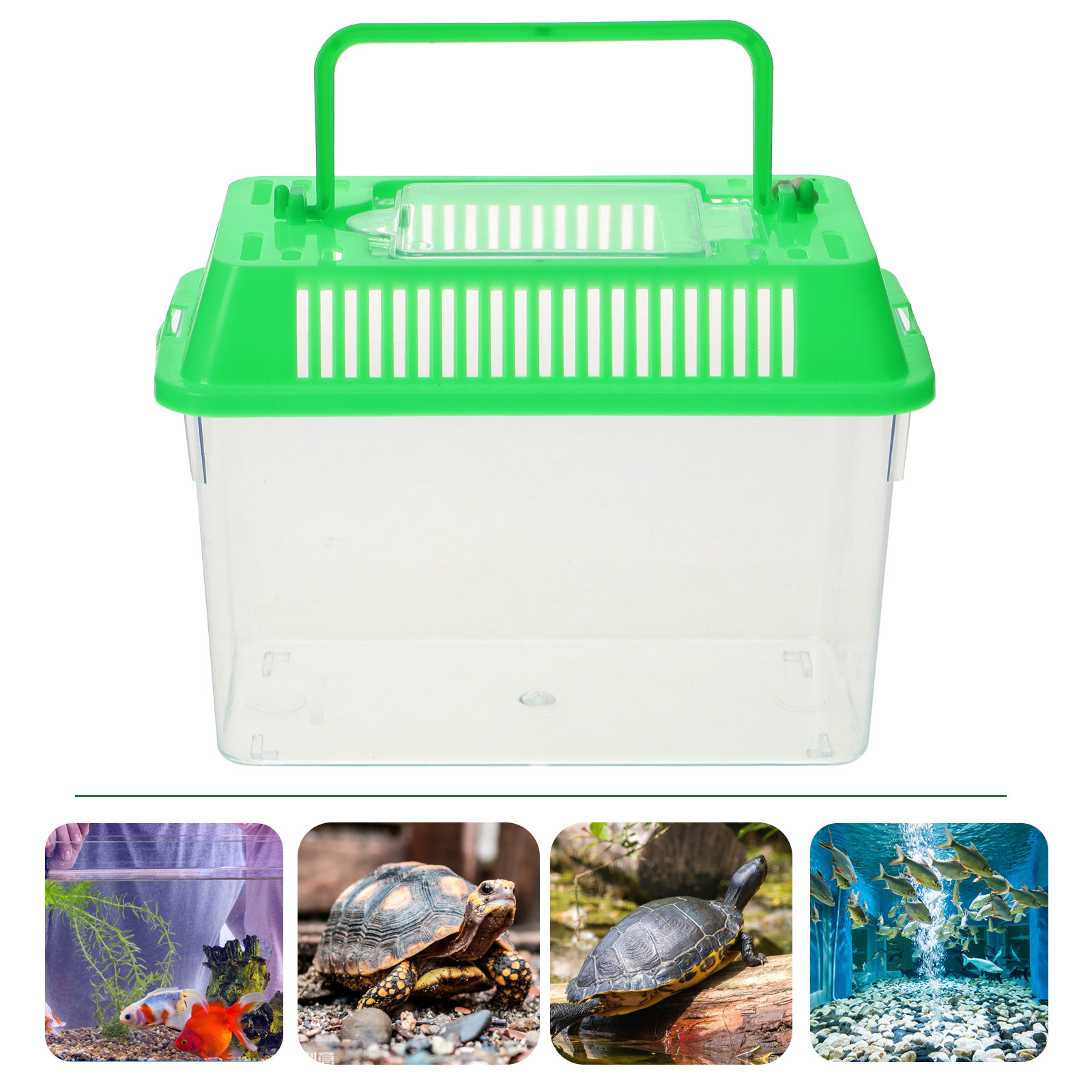 Acquario Portatile in Plastica - Aquarium Fish Goldfish recensione e prezzo