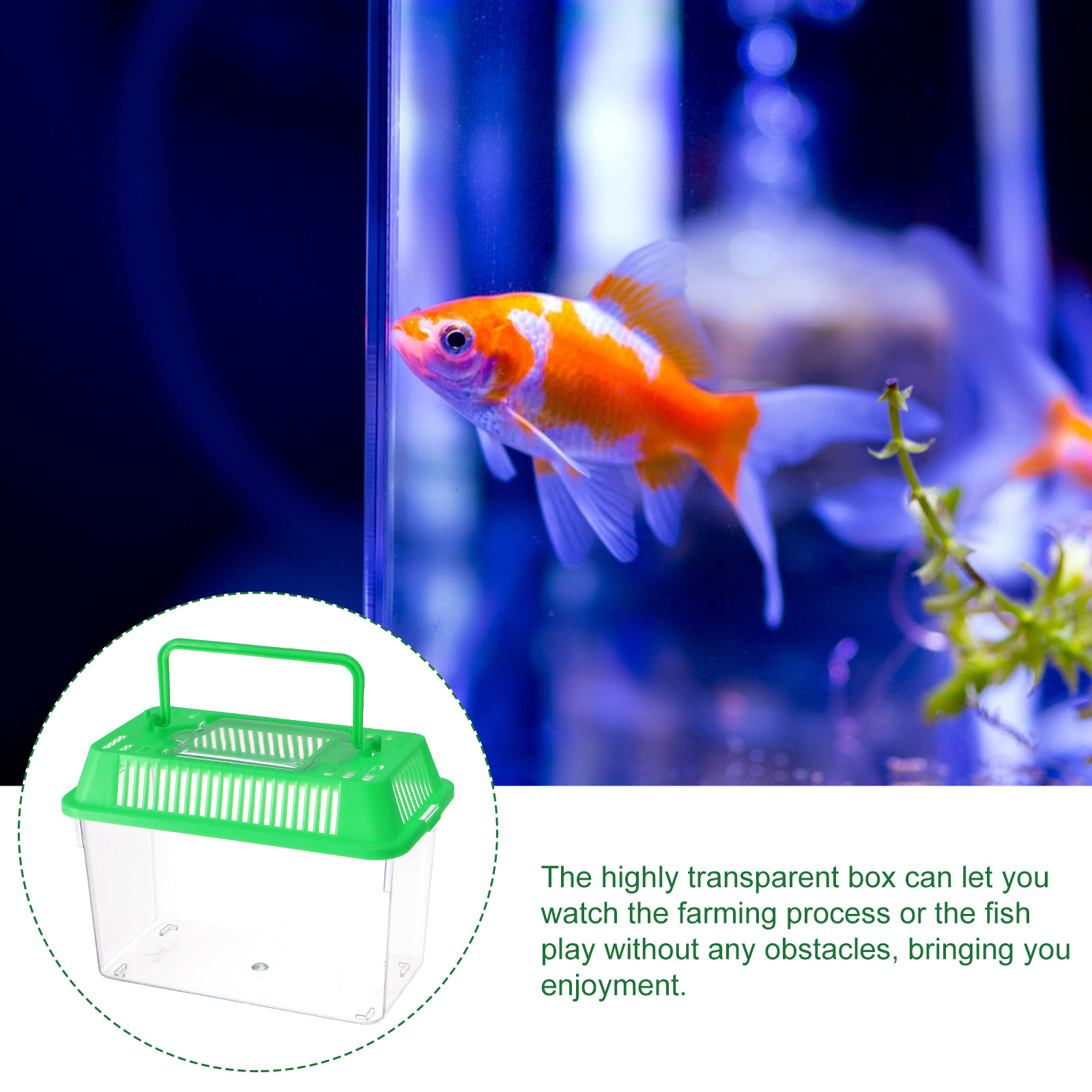 Acquario Portatile in Plastica - Aquarium Fish Goldfish recensione e prezzo