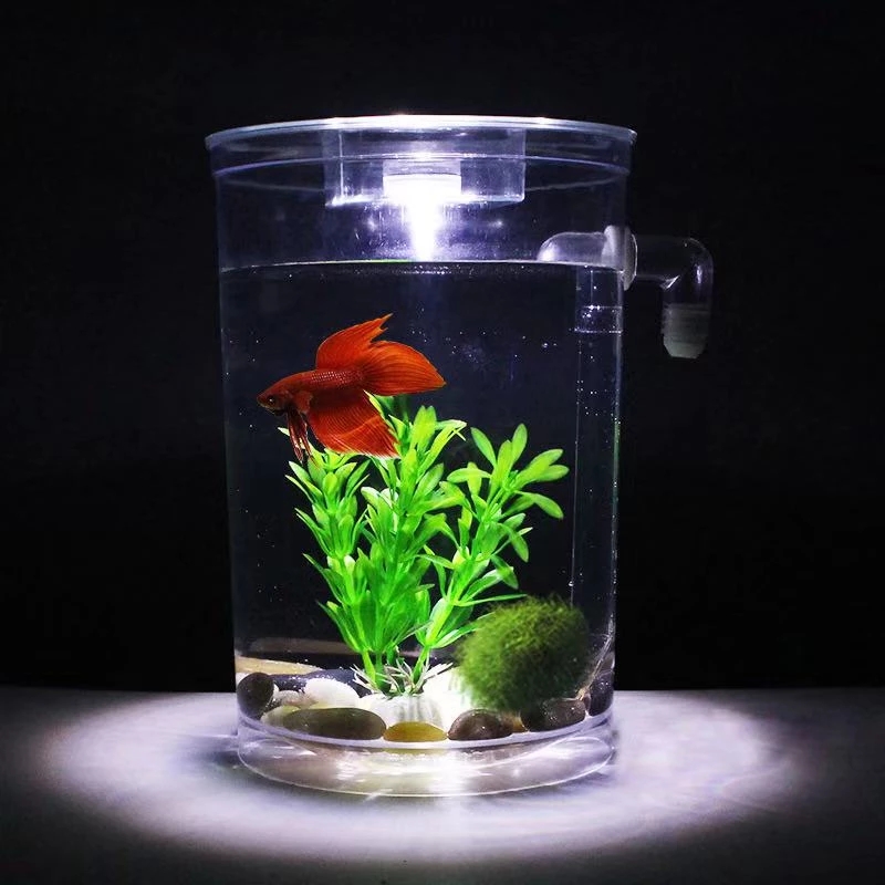 Serbatoio per pesci da tavolo  - Aquarium Fish Goldfish recensione e prezzo