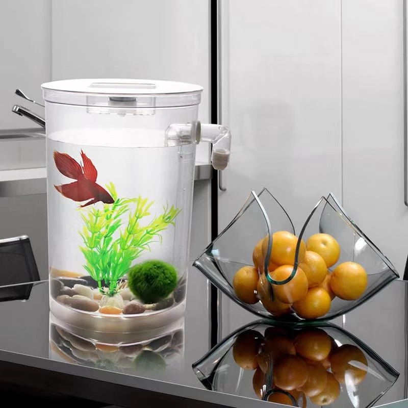Serbatoio per pesci da tavolo  - Aquarium Fish Goldfish recensione e prezzo