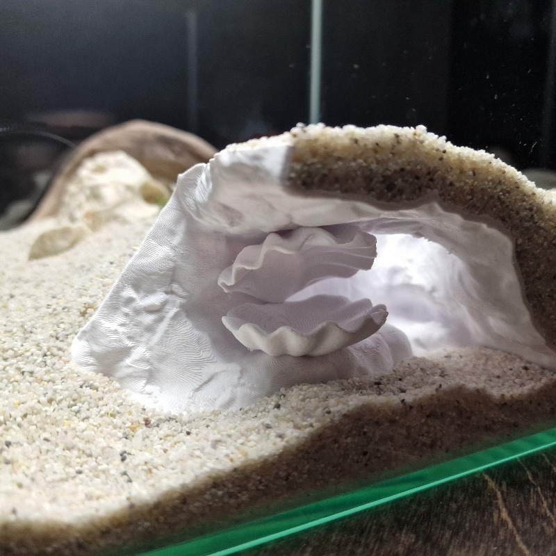 Caverna Nascosta per Acquario  - Aquarium Fish Hiding Places recensione e prezzo