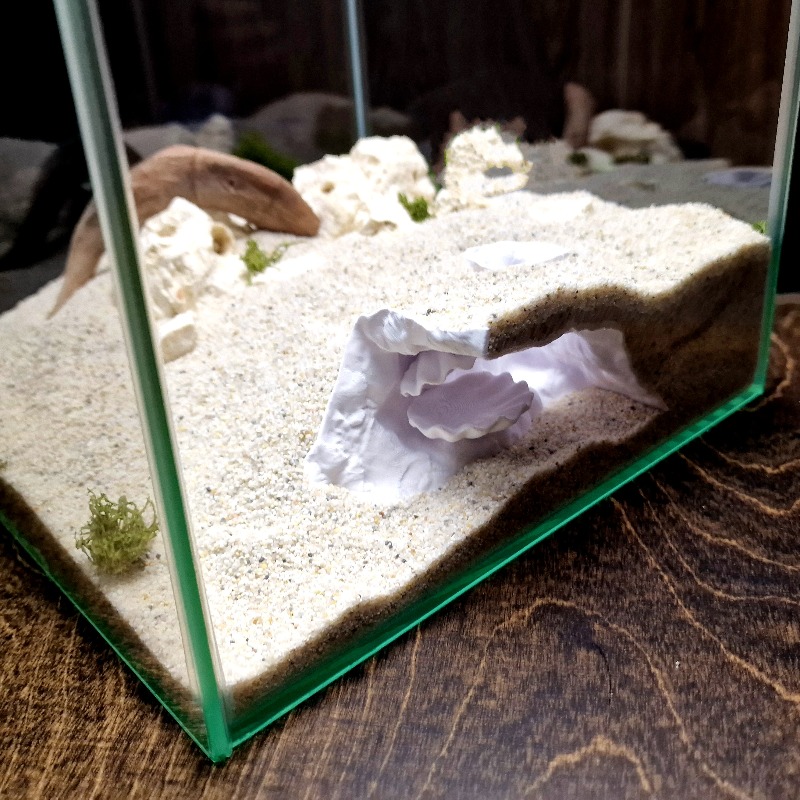 Caverna Nascosta per Acquario  - Aquarium Fish Hiding Places recensione e prezzo