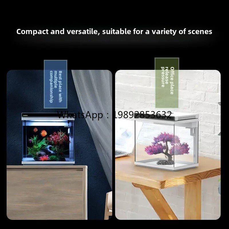 Acquario YGG in vetro ultra-bi - Aquarium Fish Without Oxygen recensione e prezzo