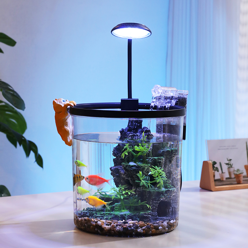 Ciotola per pesci rossi rotond - Aquarium Fish Goldfish recensione e prezzo
