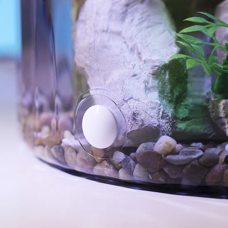 Ciotola per pesci rossi rotond - Aquarium Fish Goldfish recensione e prezzo