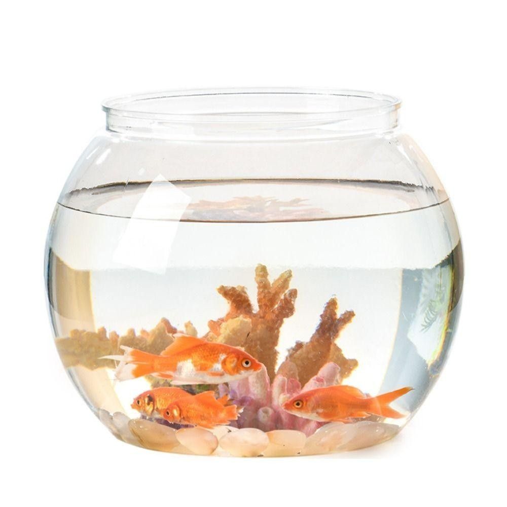Acquario Portatile Trasparente - Aquarium Fish Goldfish recensione e prezzo