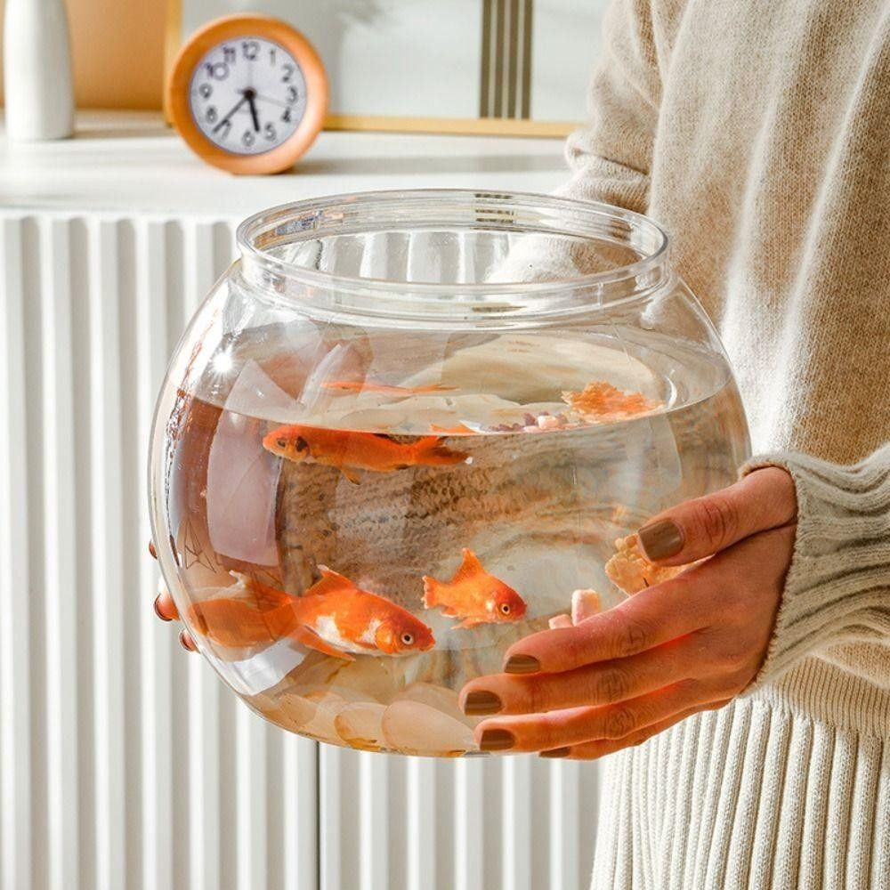 Acquario Portatile Trasparente - Aquarium Fish Goldfish recensione e prezzo