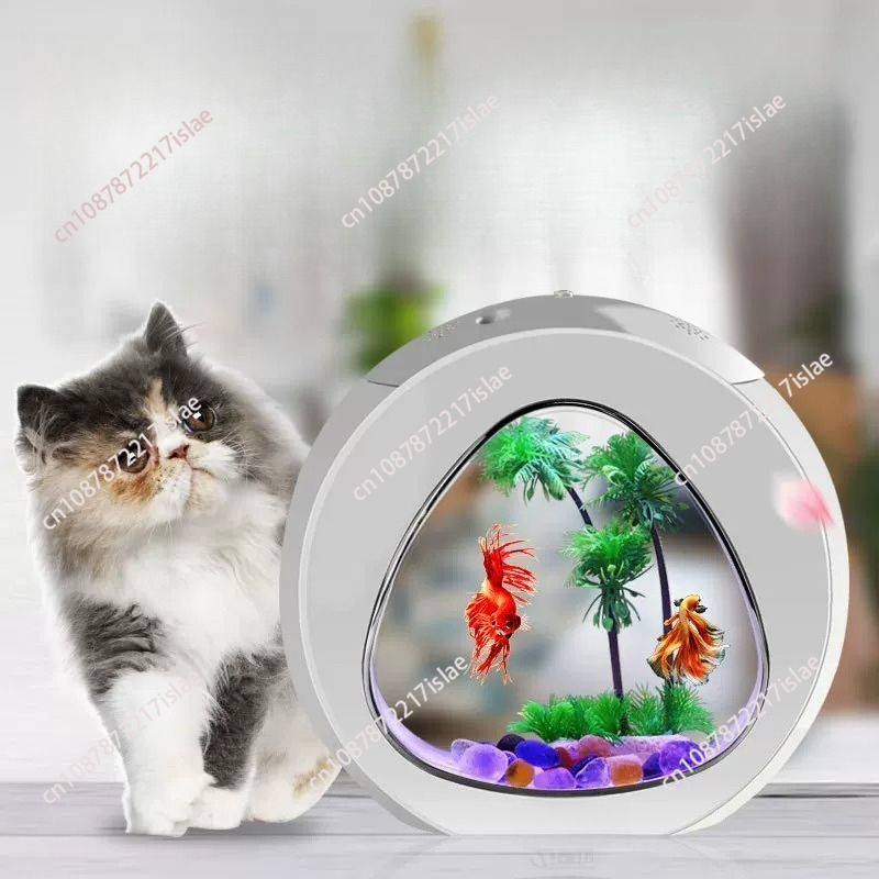 Piccolo Acquario da Tavolo in  - Aquarium Fish Goldfish recensione e prezzo