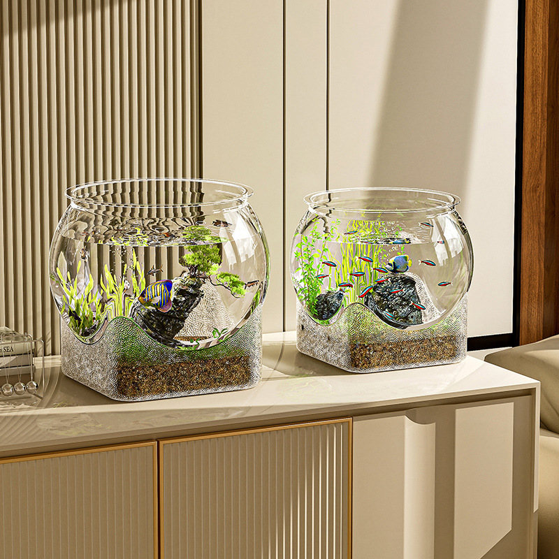 Acquario per acquario traspare - Aquarium Fish Goldfish recensione e prezzo