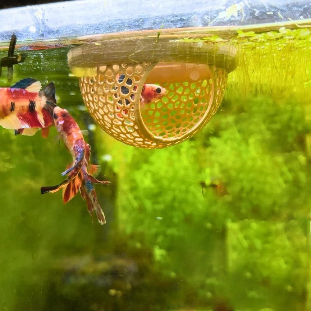 Acquario Grotta Galleggiante P - Aquarium Fish Hiding Places recensione e prezzo