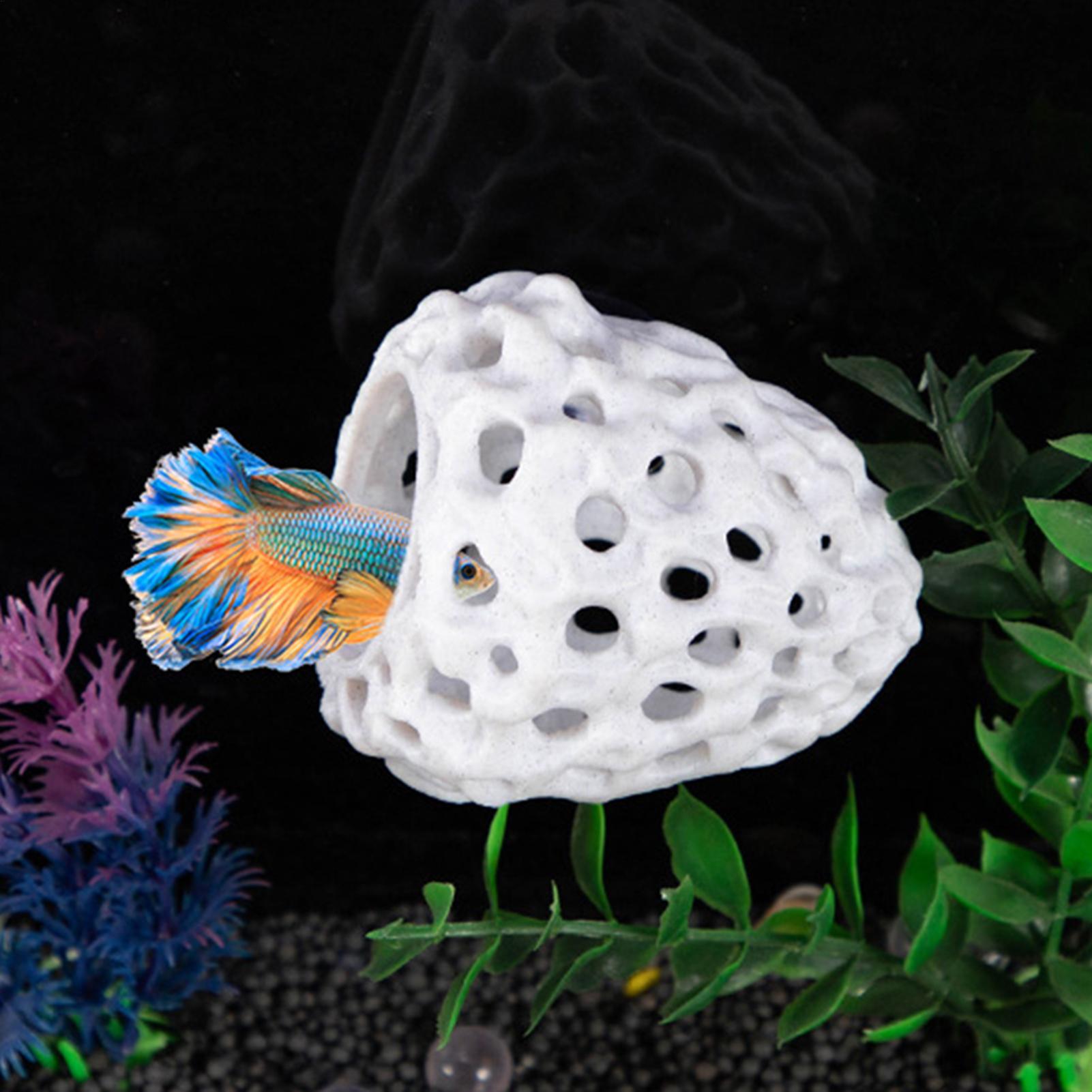 Acquario casa di gamberetti Gr - Aquarium Fish Hiding Places recensione e prezzo
