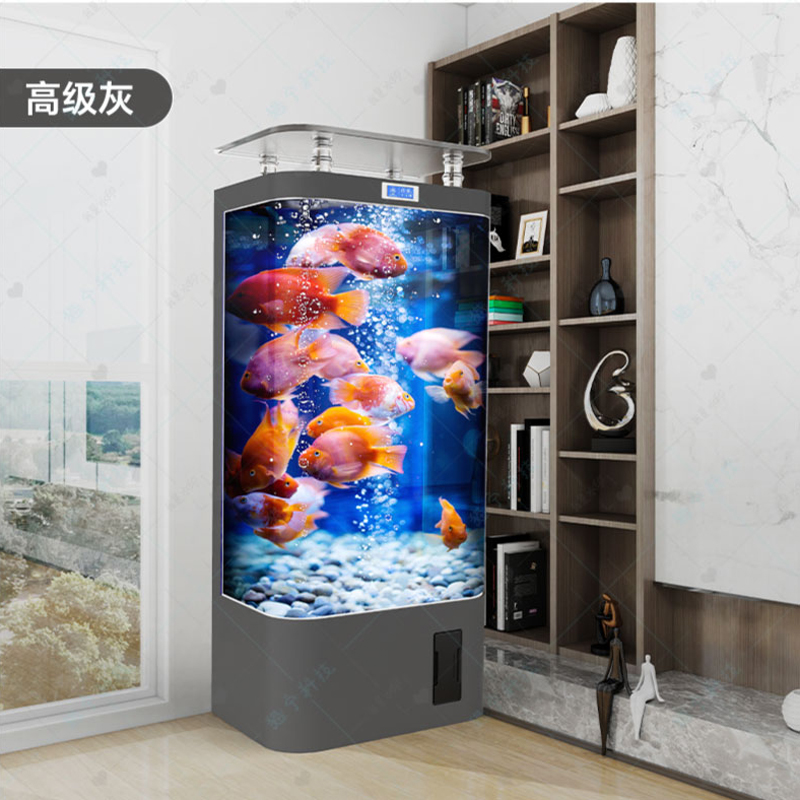 Serbatoio per pesci rossi inte - Aquarium Goldfish recensione e prezzo