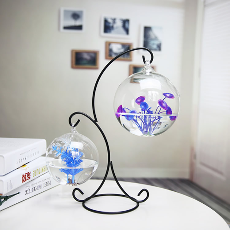 Creativo a due piani sospeso t - Aquarium Goldfish recensione e prezzo