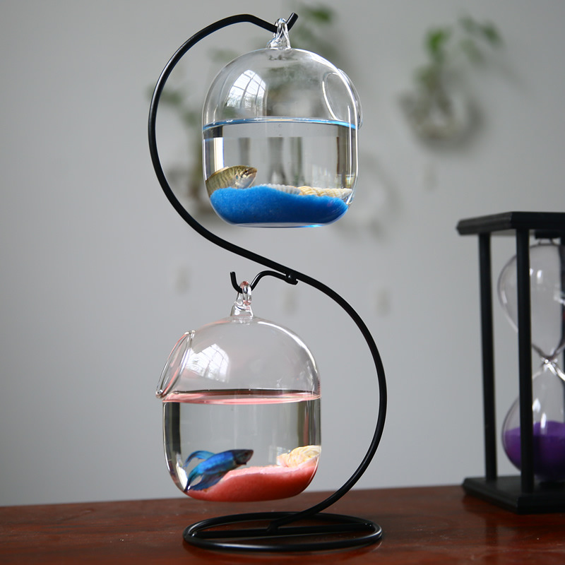 Creativo a due piani sospeso t - Aquarium Goldfish recensione e prezzo