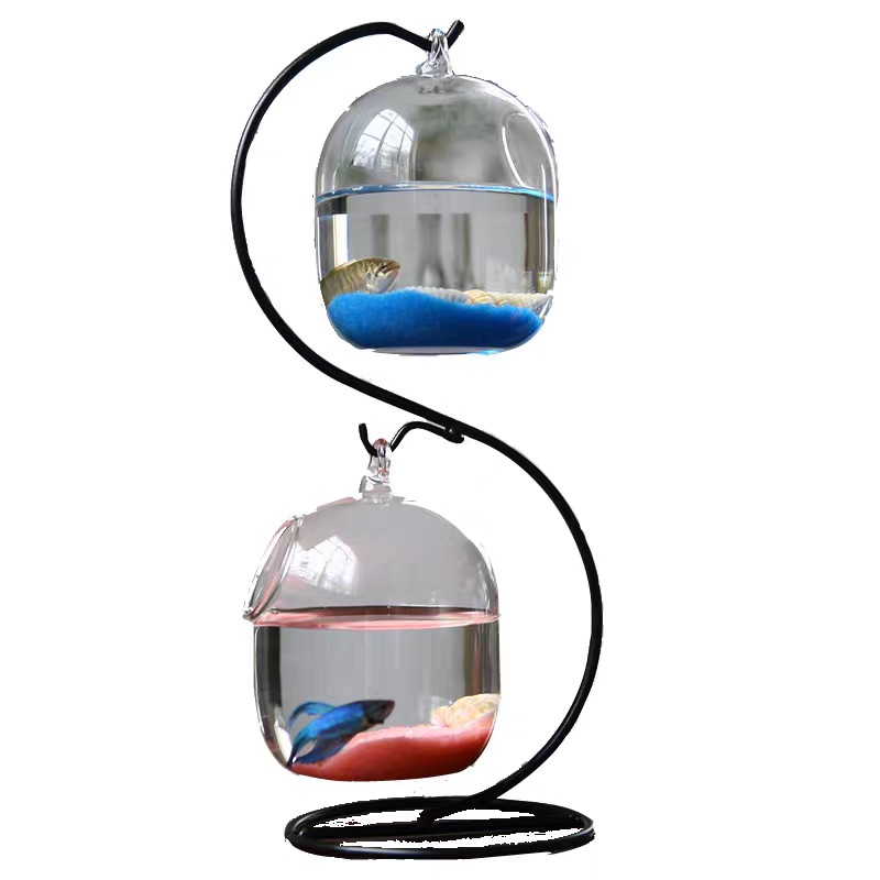 Creativo a due piani sospeso t - Aquarium Goldfish recensione e prezzo