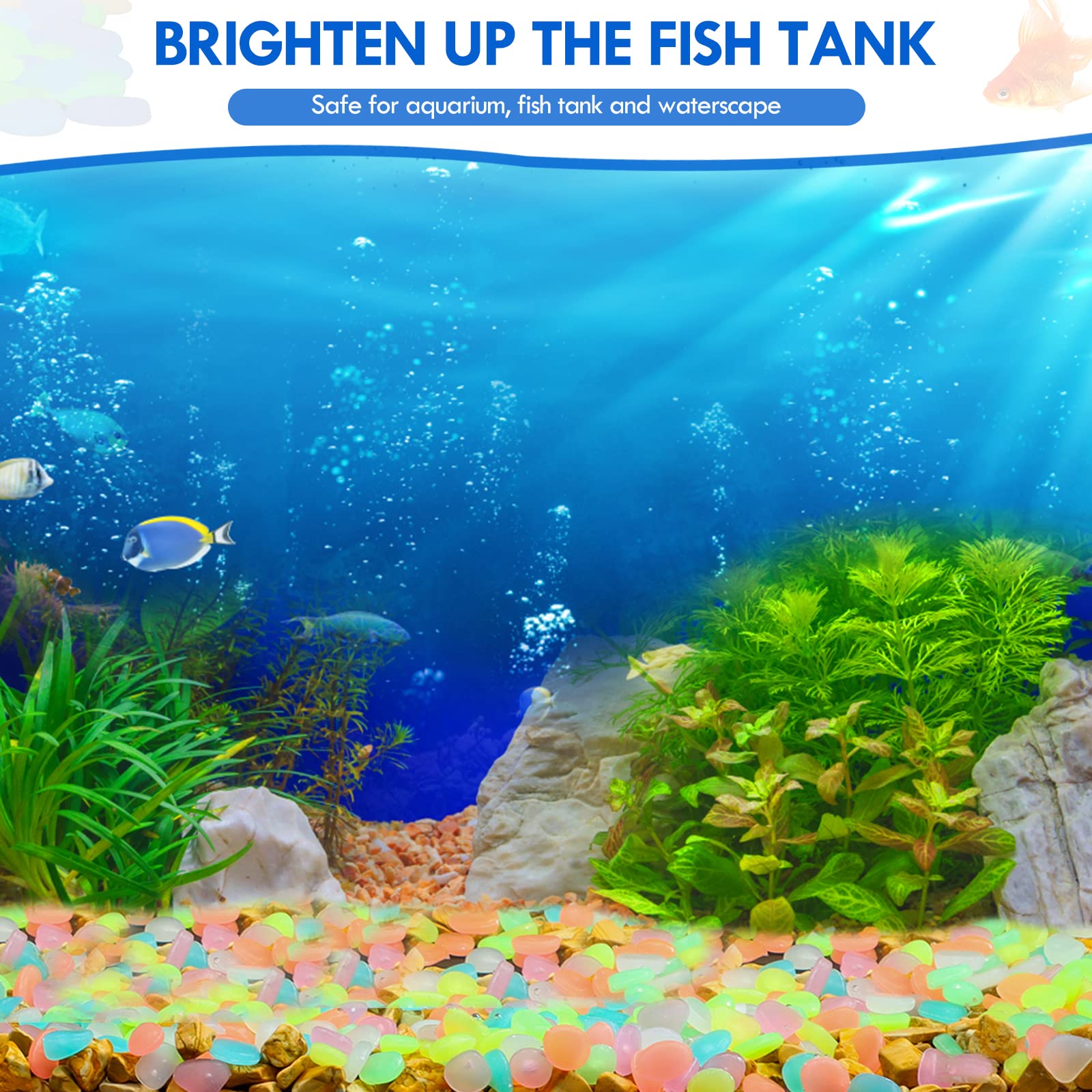 100 pezzi che si illuminano al - Aquarium Fish Glow In The Dark recensione e prezzo