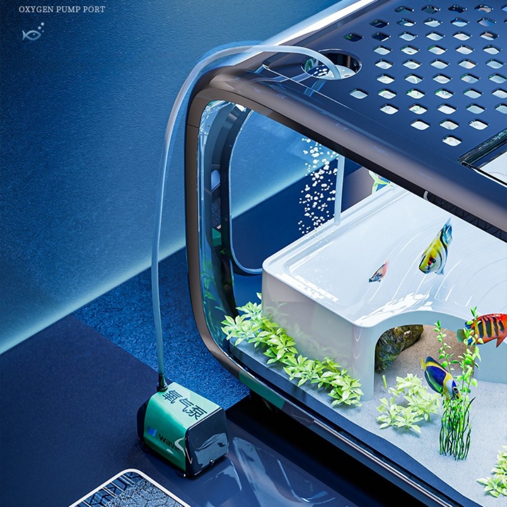 Acquario di lusso trasparente  - Aquarium Fish Goldfish recensione e prezzo