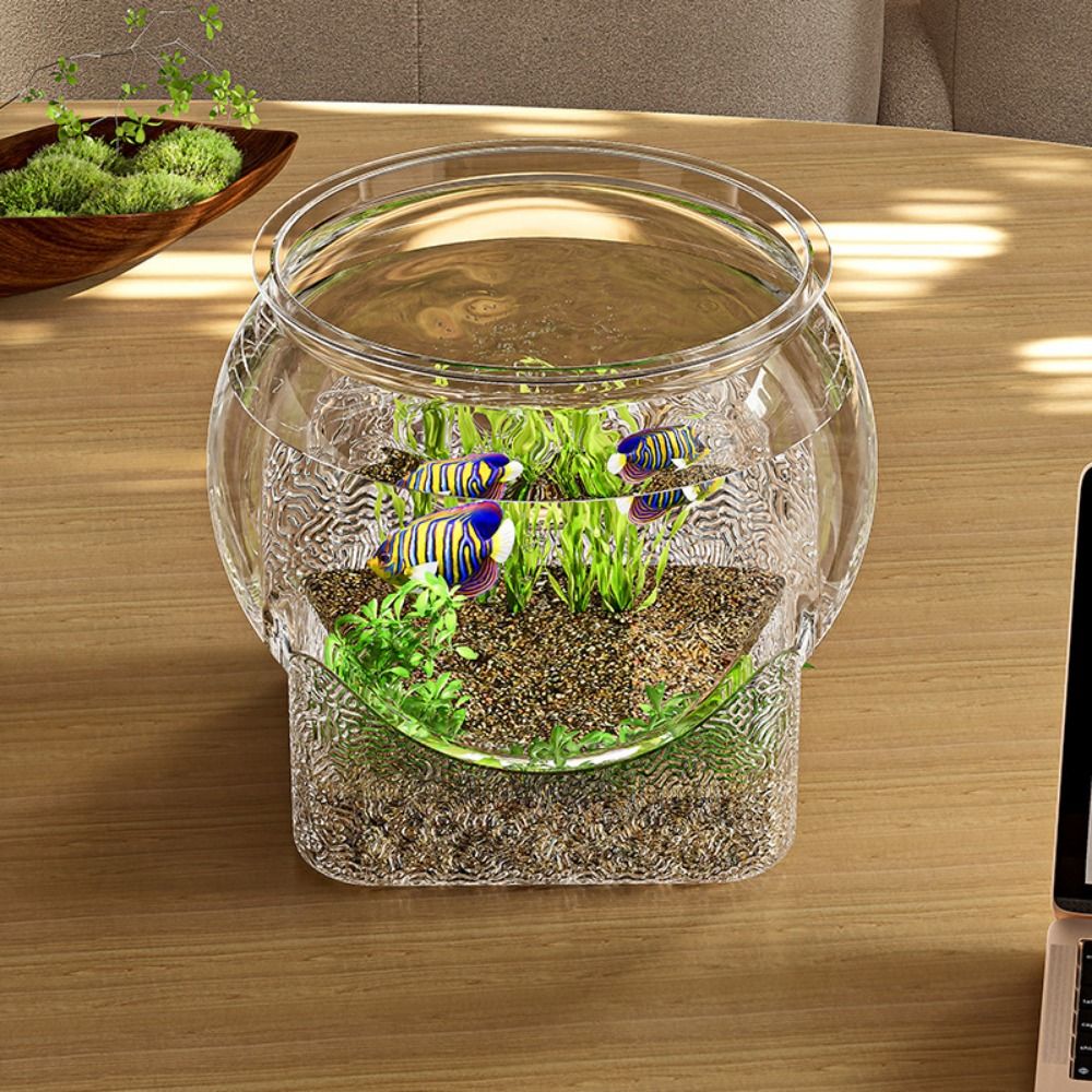Acquario Rotondo Ultra Traspar - Aquarium Fish Goldfish recensione e prezzo