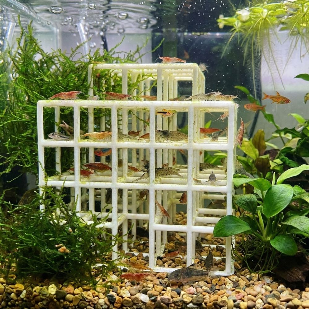 Rifugio per Pesci e Gamberetti - Aquarium Fish Hiding Places recensione e prezzo