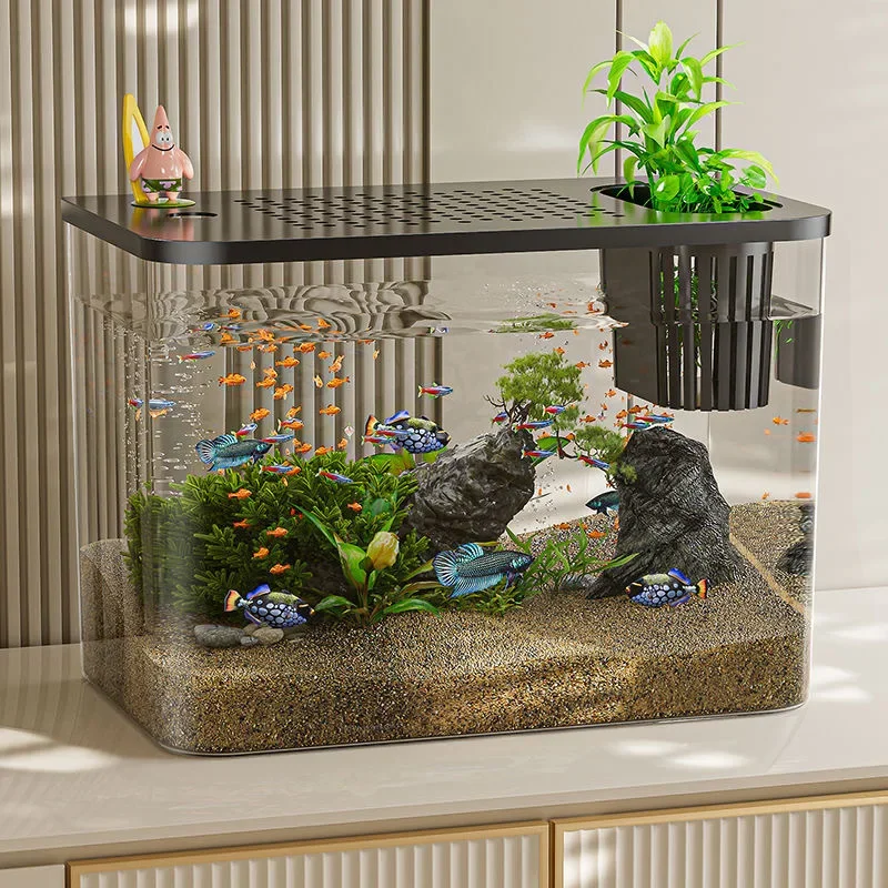 PET + ABS acquario nuovo trasp - Aquarium Goldfish recensione e prezzo