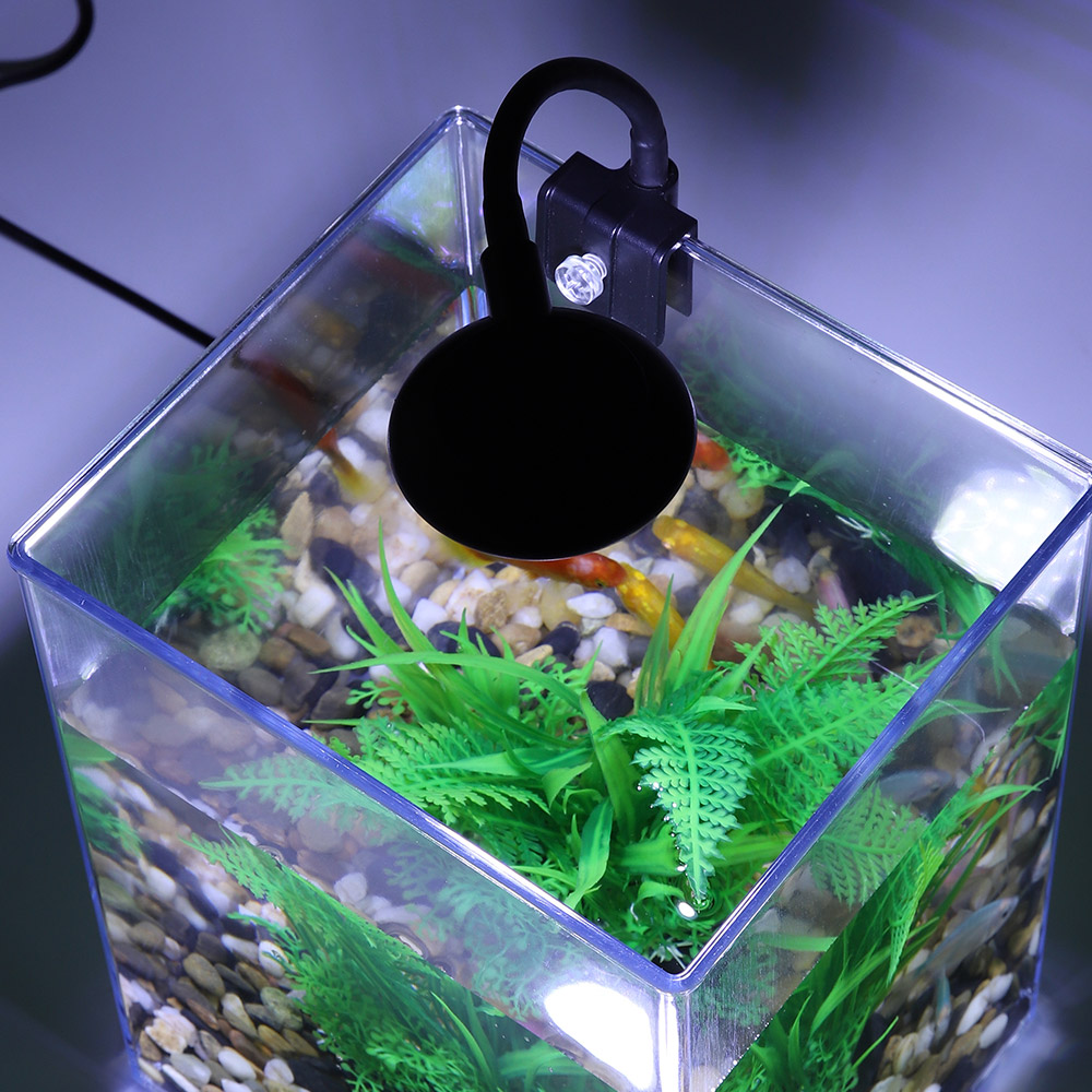 Set di acquari da tavolo USB-f - Aquarium Goldfish recensione e prezzo